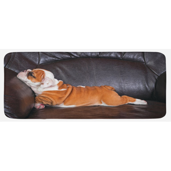 Bless international English Bulldog Kitchen Mat Wayfair